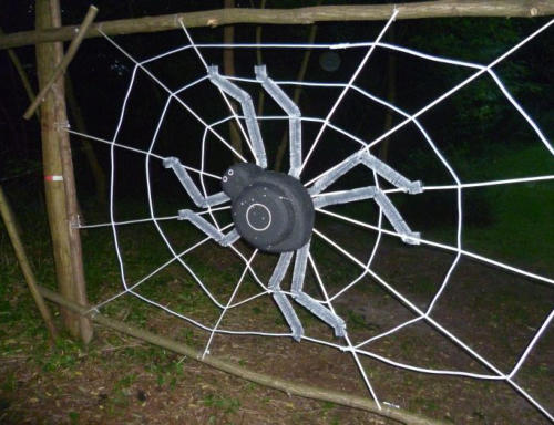 Bogenziel Spinne im Netz
